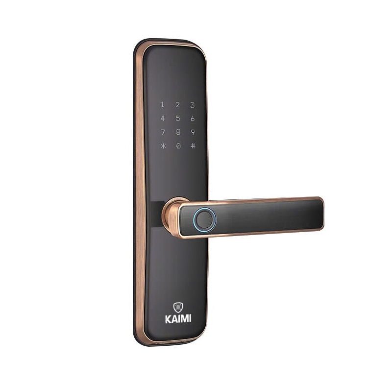 Khóa Vân Tay S25 – Viền Đồng